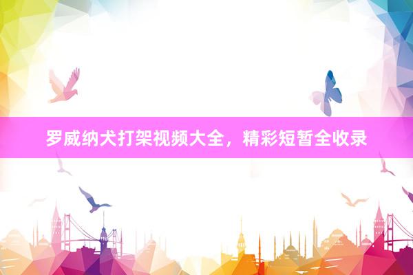 罗威纳犬打架视频大全，精彩短暂全收录